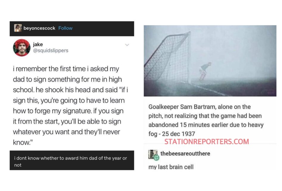20 Of The Best Posts That Have Ever Been Shared On Tumblr
