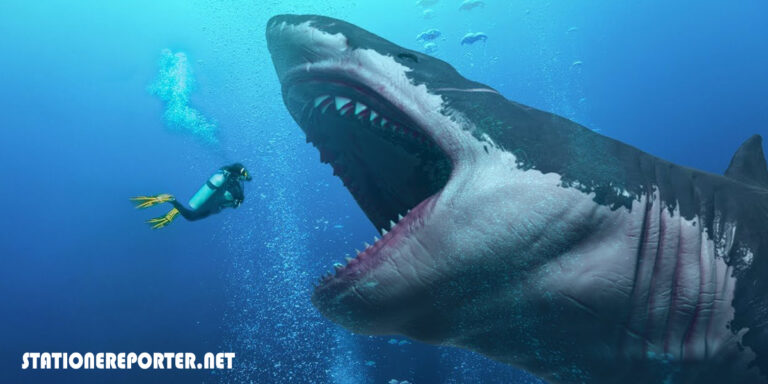 6 Biggest Megalodon Enemies Ever Existed